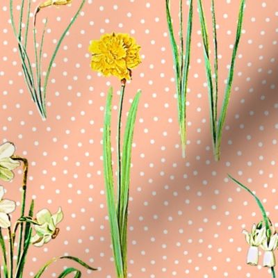 Daffodils and polka dots on peach ground
