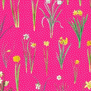 Daffodils and polka dots on raspberry ground