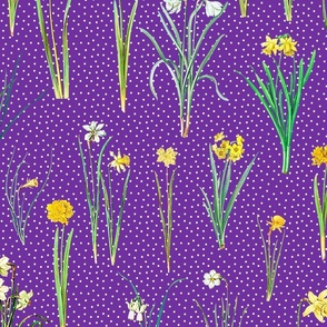 Daffodils and polka dots on purple ground