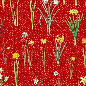 Daffodils and polka dots on dark red ground