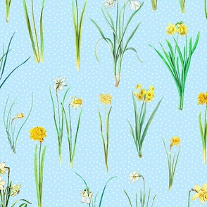 Daffodils and polka dots on bright blue ground