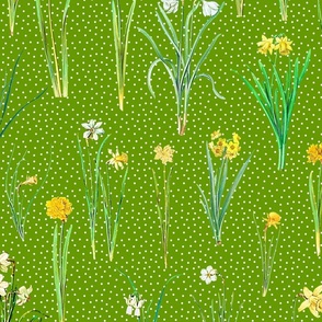 Daffodils and polka dots on grass green ground