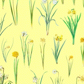 Daffodils and polka dots on vanilla yellow ground