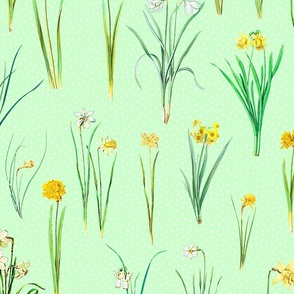 Daffodils and polka dots on candy green ground