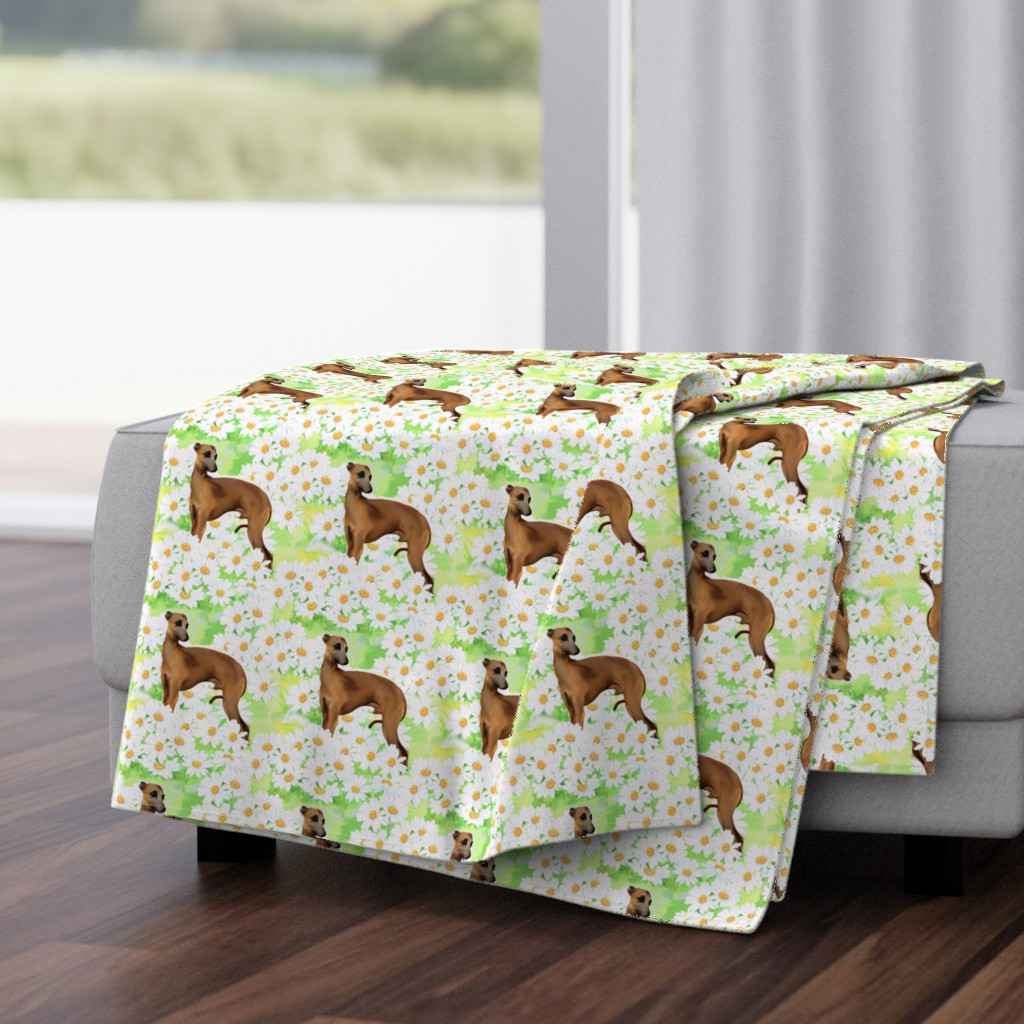 Italian greyhound and daisies fabric