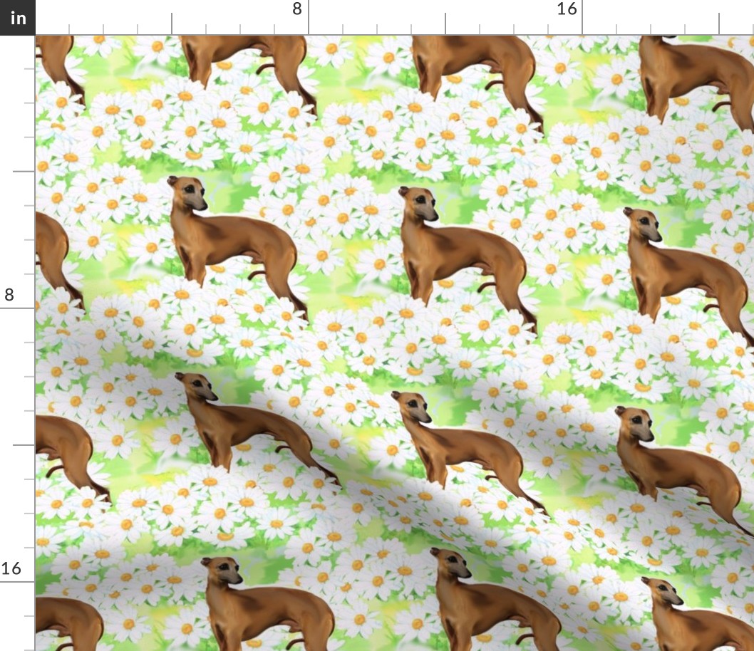 Italian greyhound and daisies fabric