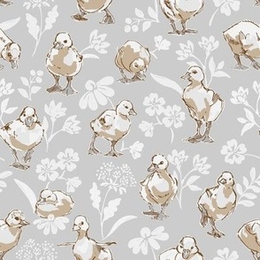 Ducklings - Downy Gray