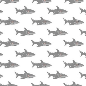 Sharks - white