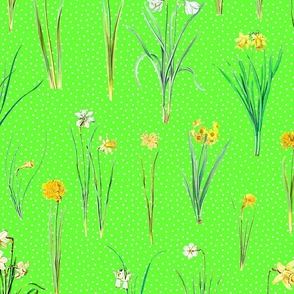 Daffodils and polka dots on spring green ground