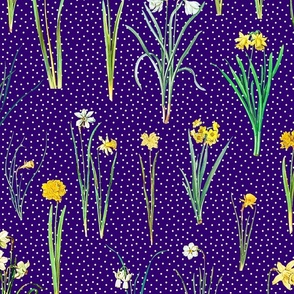 Daffodils and polka dots on dark purple ground