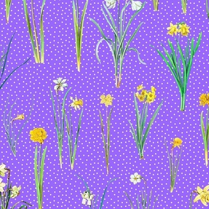 Daffodils and polka dots on violet ground