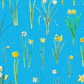 Daffodils and polka dots on sky blue ground