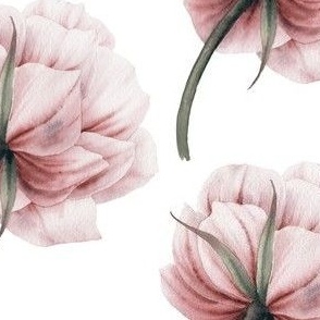 Pink ,modern summer peonies pattern