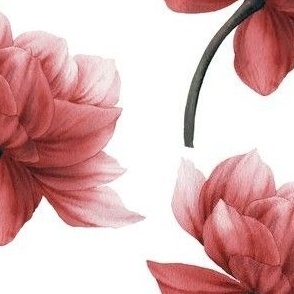 Red pink modern peonies pattern