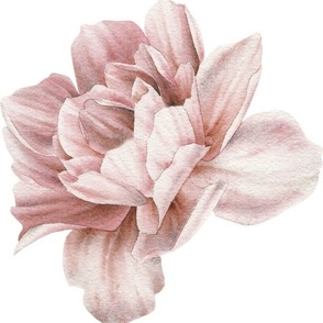 Beautiful spring summer peonies pattern