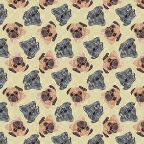 SCATTERED MIXED PUGS YELLOW 16