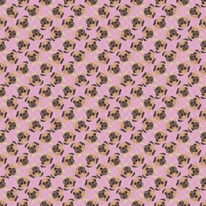 SCATTERED PUGS PINK 8