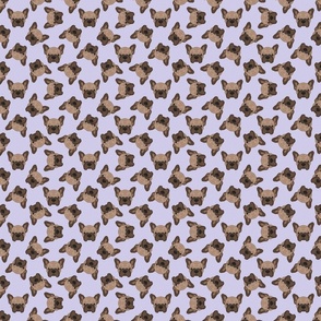 SCATTERED BROWN FRENCHIE LAVENDER 8
