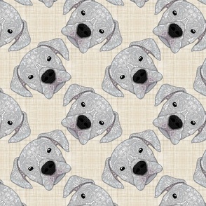 WHITE BOXER PATTERN BEIGE 16