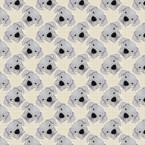 WHITE BOXER PATTERN BEIGE 8