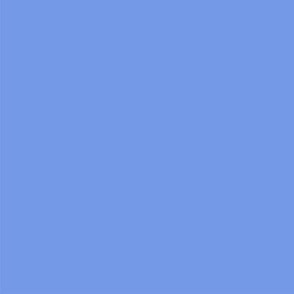Blue Solid-nanditasingh