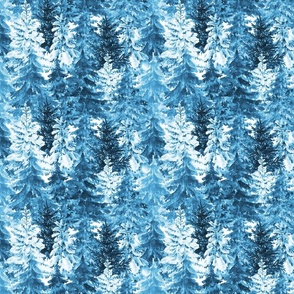 Blue pine tree forest
