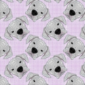 WHITE BOXER PATTERN PURPLE 16