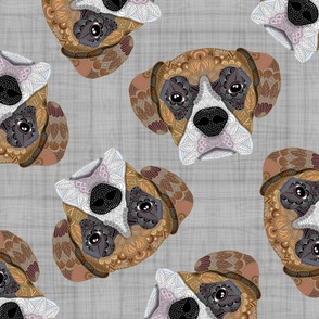 BOXER SCATTERED 24