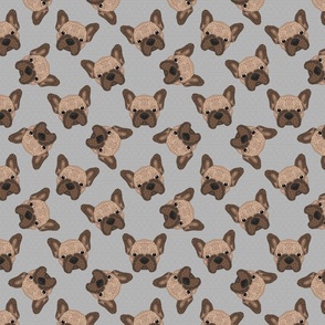 BROWN FRENCHIE SCATTERED 16
