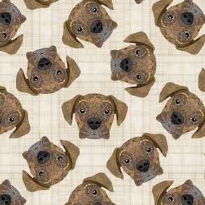 FAWN BOXER TOSSED 16 BEIGE