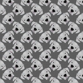 WHITE BOXER PATTERN GREY 8