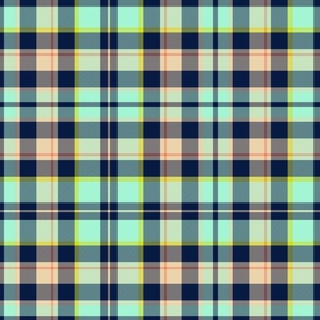 Bright Spring Plaid Mint/Midnight blue/sand/papaya - traditional tweedy- medium