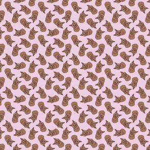 ORANGE CAT SCATTERED PINK 8