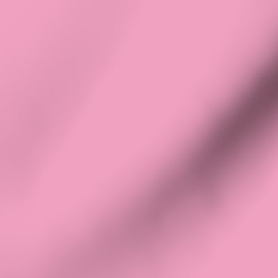 Solid color sweet pink Pantone name prism pink Pantone  14-2311 tcx hexcode F0A1BF