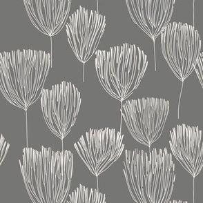 Dandelion monochrome 