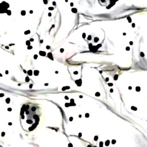 Dalmatian Puppy Pile large scale