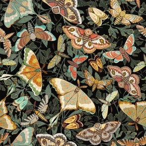 Butterflies and Moths on a muted black background, larger scale