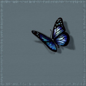 (20x20in) Blue Butterfly with border / pillow size panel