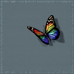 (8x8in) Happy Rainbow Butterfly with border / swatch size panel