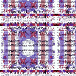 stars_and_stripes fabric by mandybeau