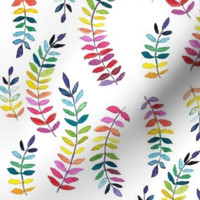 rainbow ferns on white