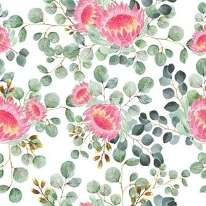  patterns of exotic plants and flowers protea and eucalyptus