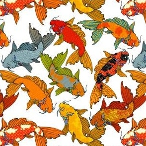 Spectacular Koi on a white background, smaller scale