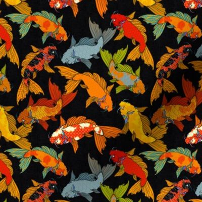 Spectacular Koi on a black background, smaller scale