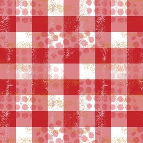 Poppy Rough n Tumble Gingham Large check 2"