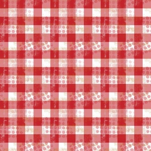 Poppy Rough n Tumble Gingham medium 1" check