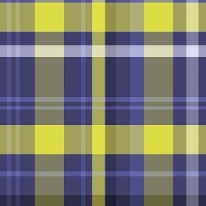 Periwinkle Citrine Plaid