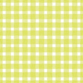 Chartreuse gingham