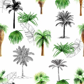 Palm Trees No. 2 White