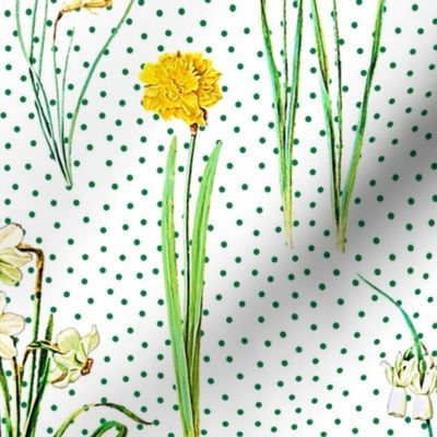 Daffodils and green polka dots on white ground 